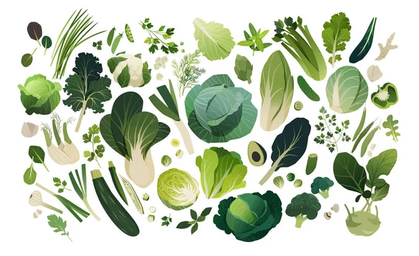 Herbes Légumes Isolés Gérés Motif Fond Gabarit Vert Feuillu — Image vectorielle
