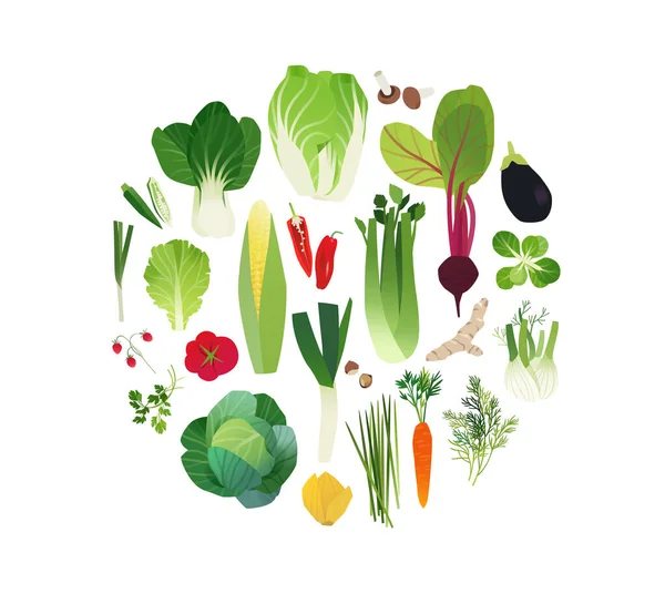 Sztuka Klipu Roślinnego Ilustracja Sztuki Żywności Koło Kształcie Zestawu — Wektor stockowy