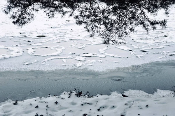 Pine tree silhouette of a frozen river — Stock Photo, Image