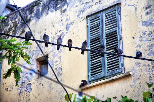 Pombos Sentam Arame Antiga Rua Cidade — Fotografia de Stock
