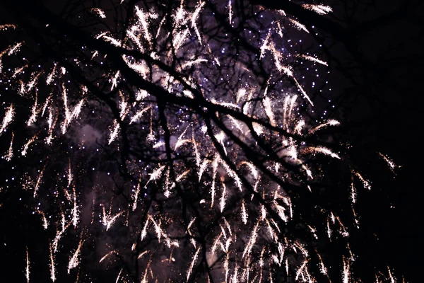 Fireworks light up the sky — Stock Photo, Image