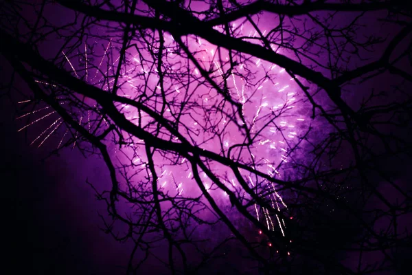 Des feux d'artifice illuminent le ciel — Photo