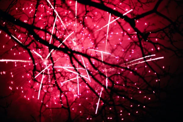 Фейерверки освещают небо — стоковое фото