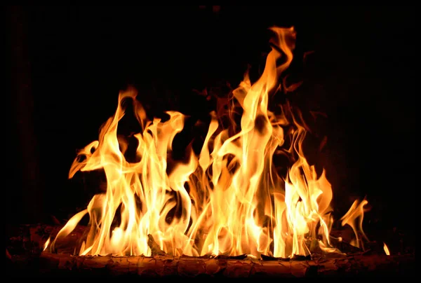 Fire Flames Night Black Background — Stock Photo, Image