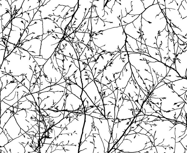 seamless vector texture of the branches