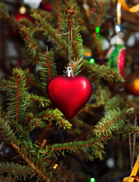 Heart shaped christmas toy on spruce branch Stock Picture