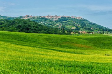 Torrenieri yakınlarındaki bir yolu üzerinden Montalcino.