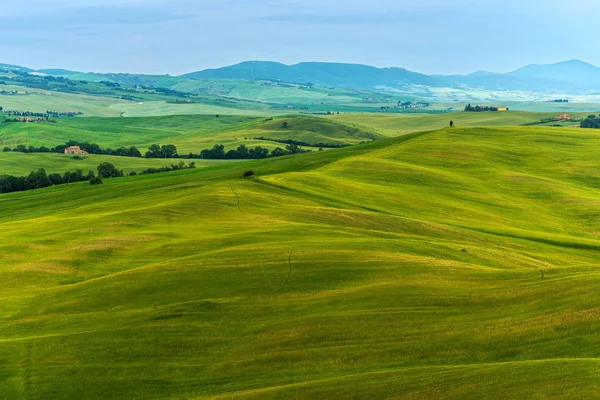 Val Orcia Valdorcia Region Tuscany Central Italy Which Extends Hills — стоковое фото