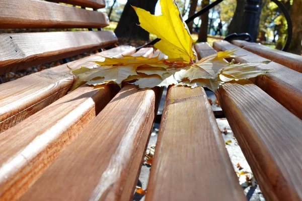 Feuilles d'érable jaunes sur un banc dans le parc — Photo