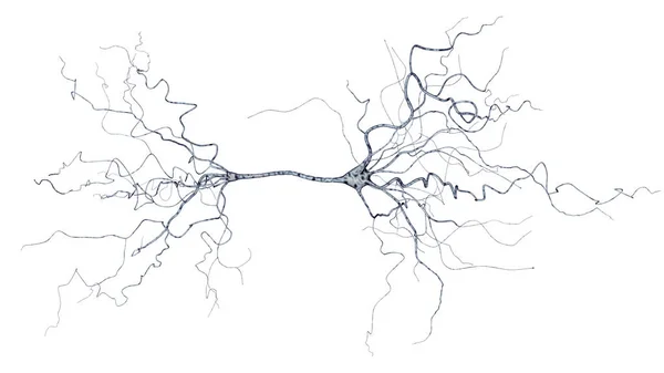 Imagen conceptual con célula neuronal aislada en blanco — Foto de Stock