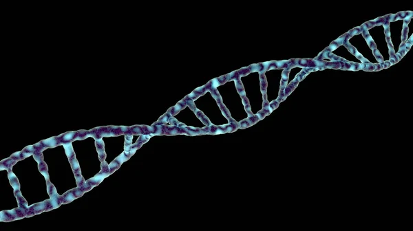 黒に分離された単一の Dna 分子スパイラル — ストック写真