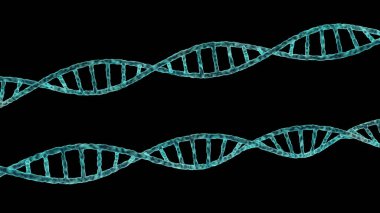 Siyah izole görünümü kadar DNA spiraller kapatın