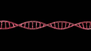 Tek Dna molekül sarmal siyah izole