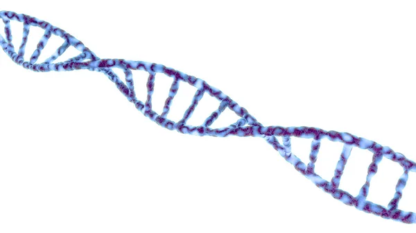 Einzelne Dna-Molekül-Spirale isoliert auf weiß — Stockfoto