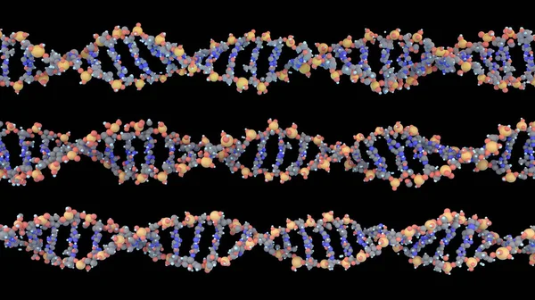 DNA spiral molecules in a line, isolated on black — Stock Photo, Image