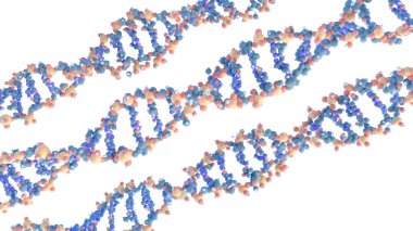 beyaz üzerine Dna sarmal moleküllerinin bilimsel 3d modelleri