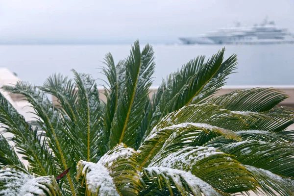 Schlechtes Wetter an der Küste im Winter — Stockfoto