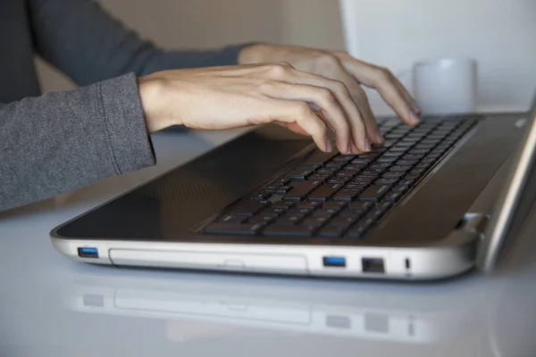 Digitação em um laptop, interior neutro com cena de luz do dia — Fotografia de Stock