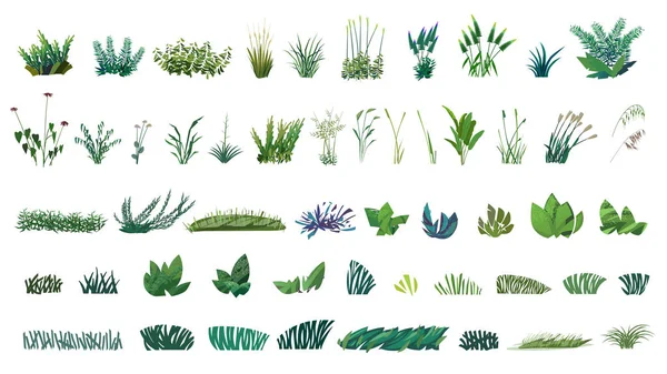 Huge collection of stylized isolated green plants for your illustrations — Stock Vector