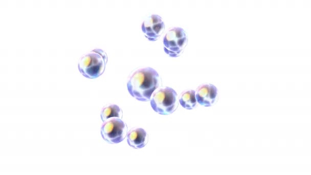 Sphères brillantes formant un système tournant et tournant isolé — Video
