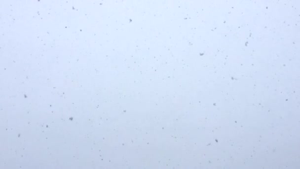 Bewölkter Tag im Winter Schnee fällt langsam vom Himmel — Stockvideo