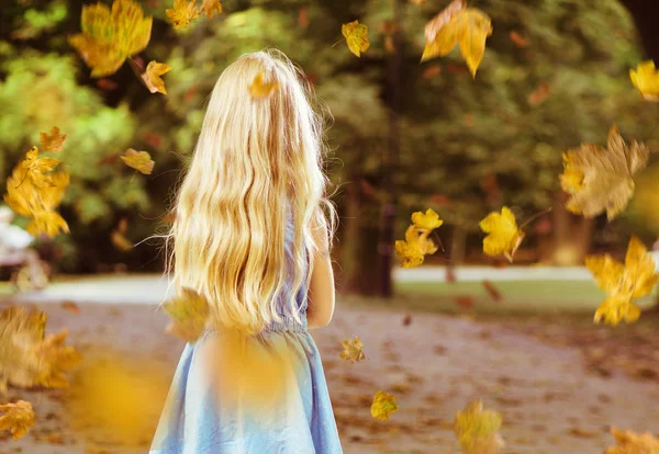 Маленький Блондин Позирует Осеннем Парке — стоковое фото