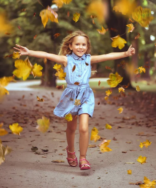 Vrolijk Klein Kind Een Herfst Kleurrijke Park — Stockfoto