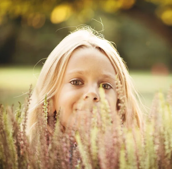 Bonito Menina Escondendo Atrás Flores Urze — Fotografia de Stock