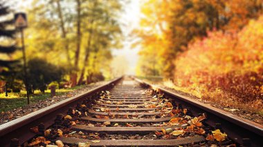 Tren raylara düşme renkli, sonbahar yaprakları