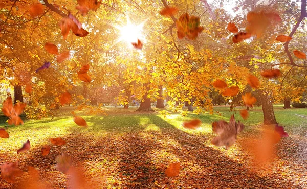 Schöner Bunter Herbst Einem Europäischen Ort — Stockfoto