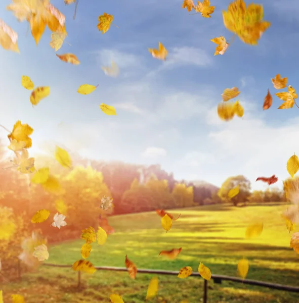 Beautiful Colorful Autumn European Place — Stock Photo, Image