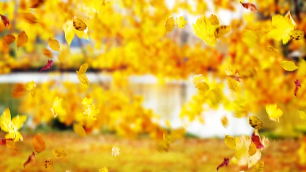 Beautiful Colorful Autumn European Place — Stock Photo, Image