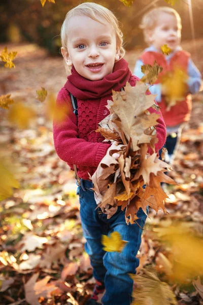 Schattige Kleine Tweeling Kijken Herfst Bladeren Vallen — Stockfoto
