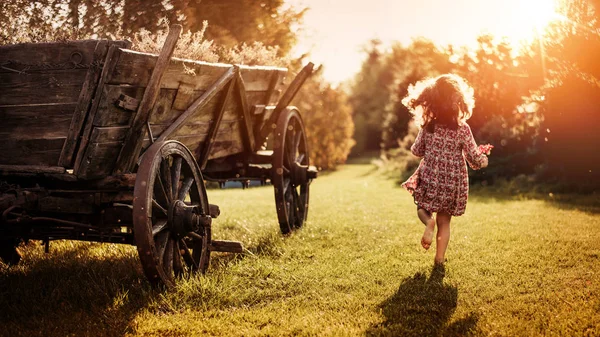 Retrato Uma Menina Pequena Fofa Uma Fazenda — Fotografia de Stock