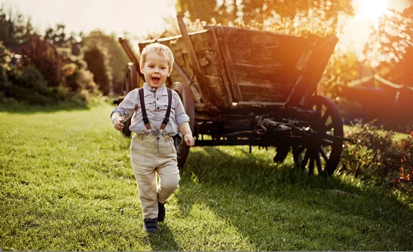 Cheerful Boy Autumnal Farm — Stock Photo, Image