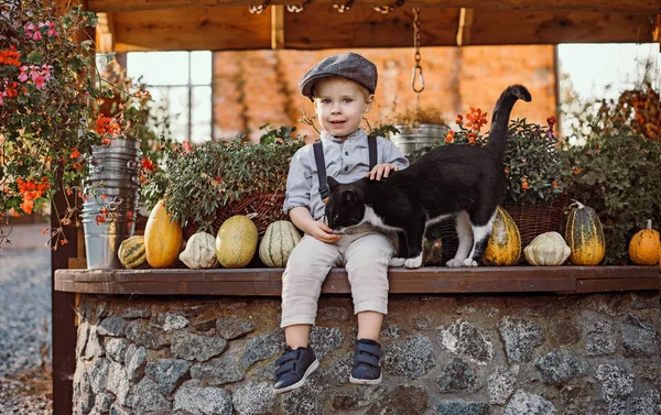 Niedlich Kleiner Junge Der Eine Katze Knuddelt — Stockfoto