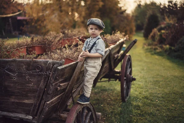 Pequeno Cavalheiro Numa Carruagem Madeira — Fotografia de Stock