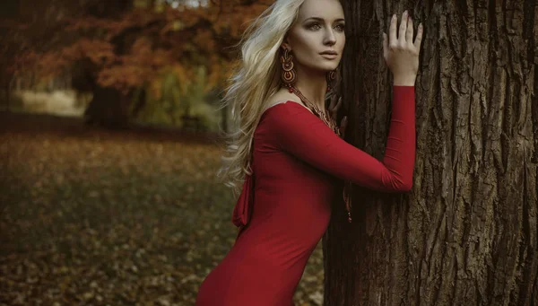 Mooie Blonde Vrouw Poseren Een Herfst Bos — Stockfoto