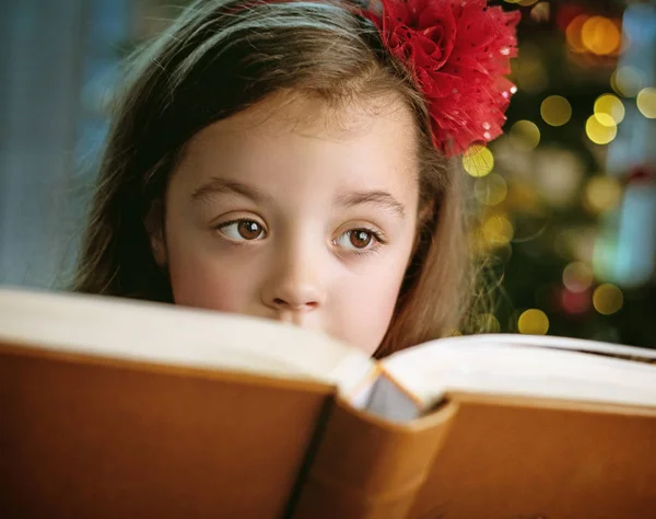 Portre Portre Sevimli Küçük Bir Kızın Bir Roman Okuma Telifsiz Stok Imajlar