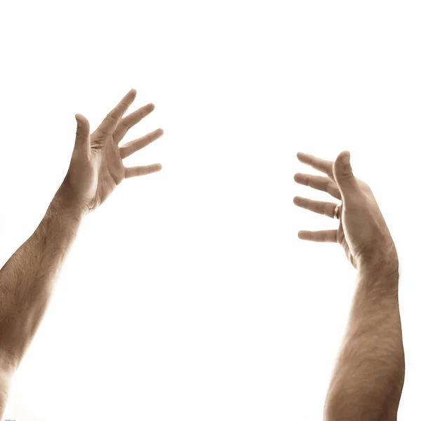 Two male hands on an empty background — Stock Photo, Image