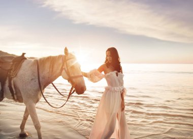 Sakin bir at ile güzel, genç kadın