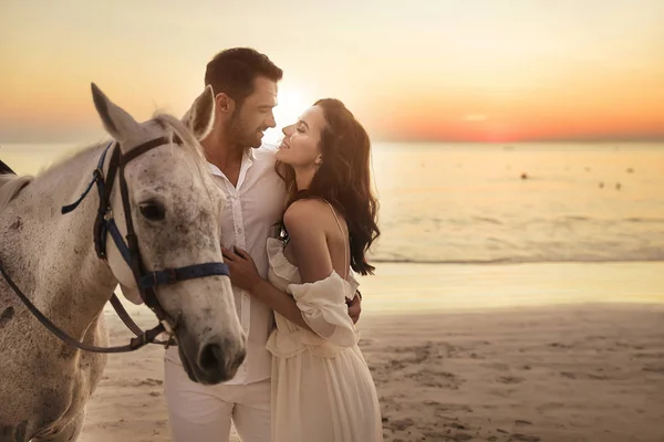 Giovane coppia a piedi un cavallo maestoso paesaggio balneare — Foto Stock