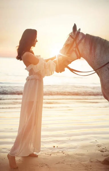 Schöne, junge Frau mit ruhigem Pferd Stockbild