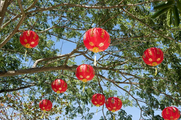 Photo présentant des ornements asiatiques suspendus sur des branches — Photo