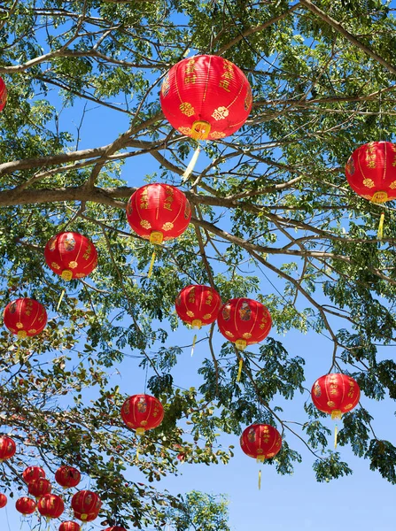 Picture presenting asian ornamnets hanging on branches