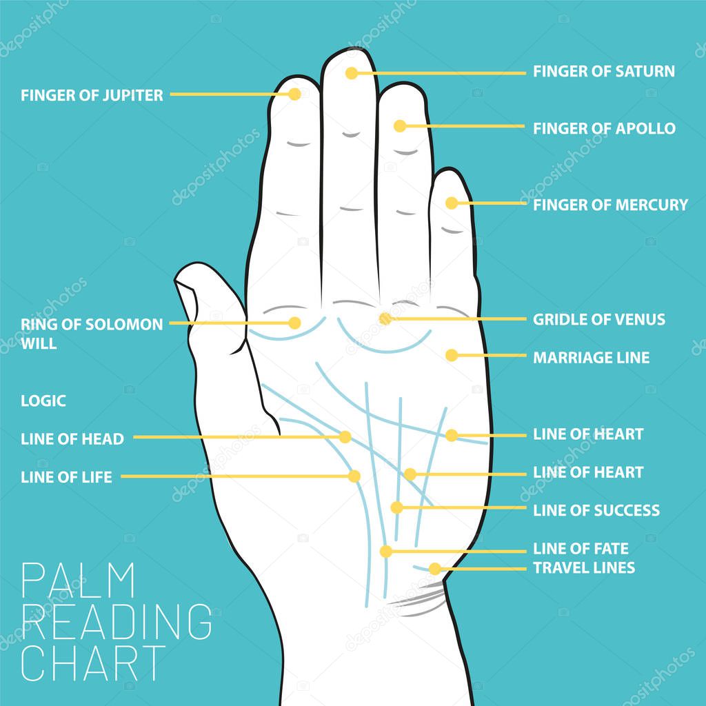 Palm reading chart. Palmistry map of the palm's main line