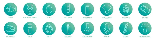 Potravinové alergie ikony. Základní alergeny a dieta linie ikony vektor — Stockový vektor