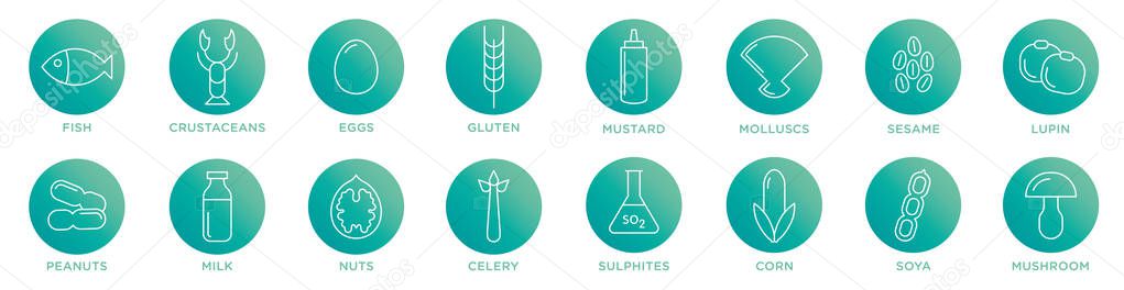 Food allergy icons. Basic allergens and diet line icons vector