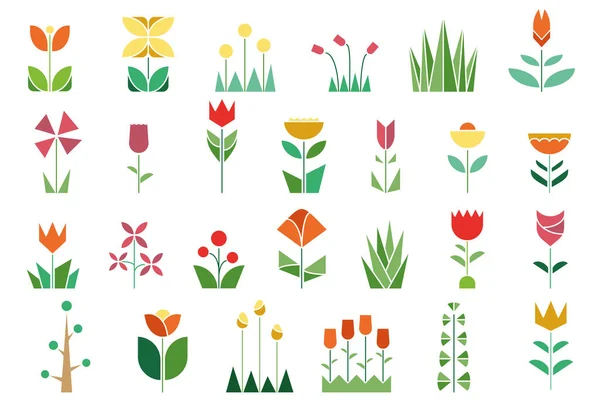 植物都是现代风格的 几何和线性风格 — 图库矢量图片