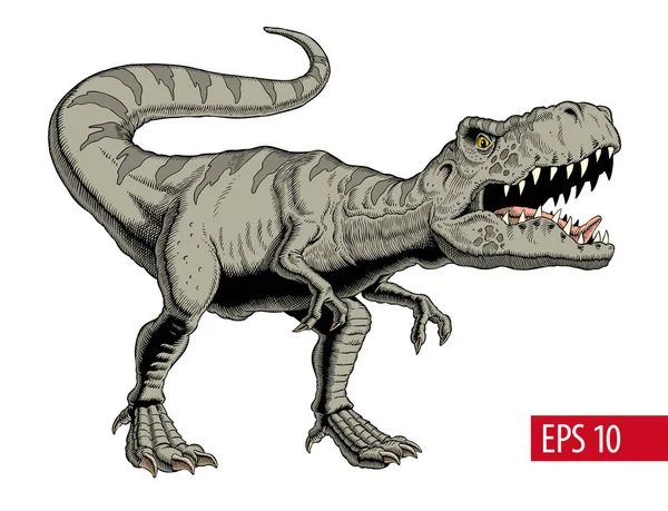 Tyrannosaurus rex of t rex dinosaurus geïsoleerd op wit. Vectorillustratie. — Stockvector